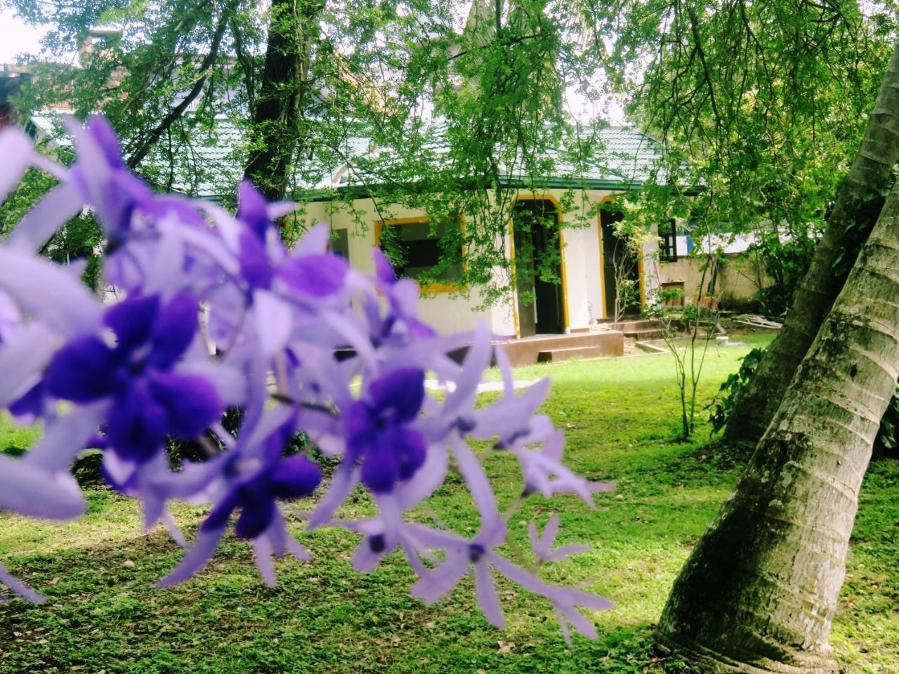 فندق تانجاليفي  Sea Avenue - Eco Garden المظهر الخارجي الصورة