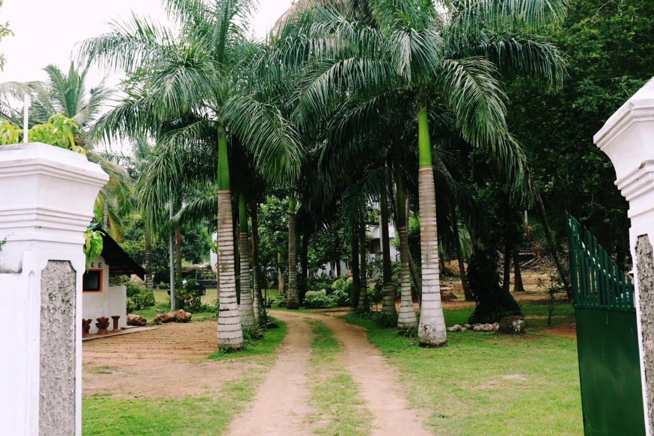 فندق تانجاليفي  Sea Avenue - Eco Garden المظهر الخارجي الصورة