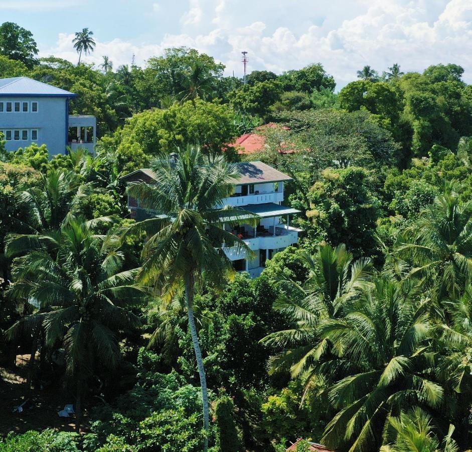 فندق تانجاليفي  Sea Avenue - Eco Garden المظهر الخارجي الصورة